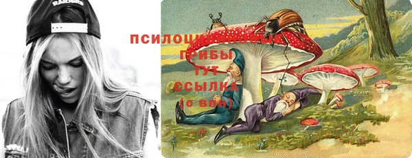 твердый Карпинск