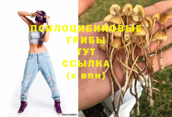 первитин Киреевск