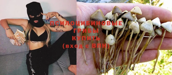 крисы Касимов