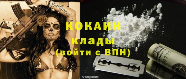 крисы Касимов