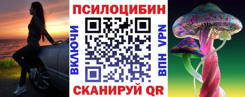 Купить где  Елизово  Псилоцибиновые грибы Psilocybe 